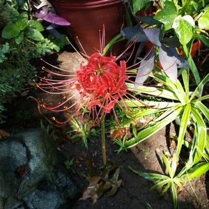 Meet your Posher, Posh